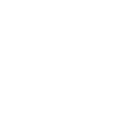 Deloria vine jr w roger buffalohead essay image