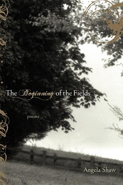 The Beginning of the Fields
