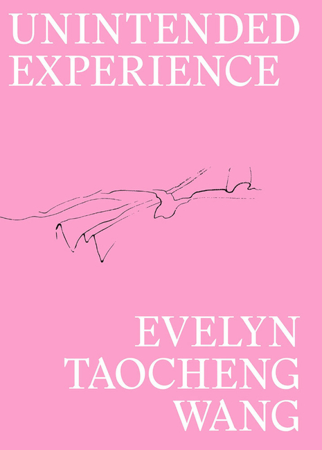 Evelyn Taocheng Wang: Unintended Experience: A Job in Amsterdam