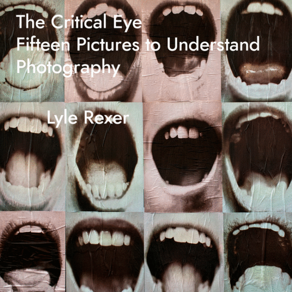 The Critical Eye: Fifteen Pictures to Understand Photography