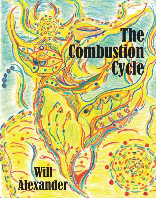 The Combustion Cycle