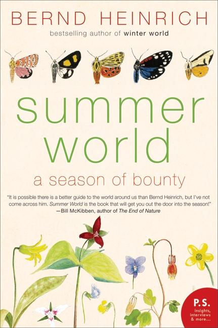 Summer World: A Season of Bounty