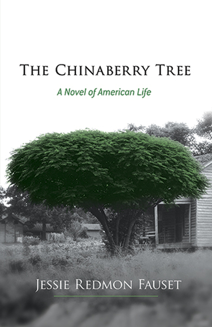 The Chinaberry Tree: A Novel of American Life