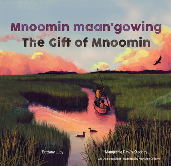 Mnoomin Maan’gowing / The Gift of Mnoomin