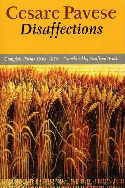 eJxuNBIsize640 Disaffections: Complete Poems