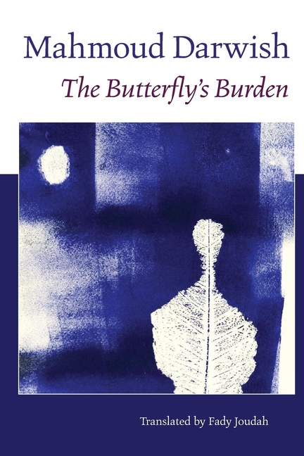 sqEWFfrt1NEsize640 The Butterfly’s Burden